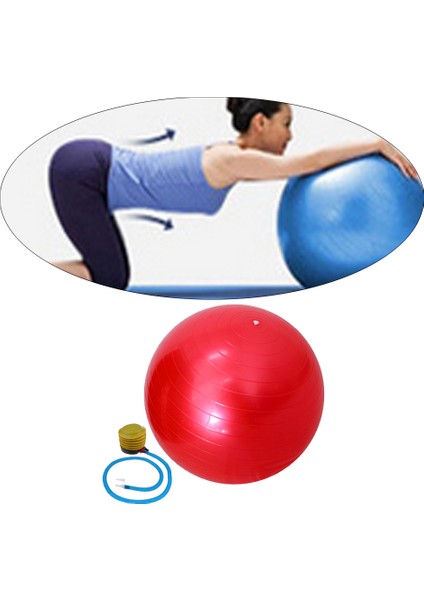 Sarı Stil Perfeclan Ağır Hizmet 55CM Yoga Pilates Topu Patlamaya Karşı Pvc Fitness Salonu Denge Stabilite Egzersiz Eğitimi Topu Pompalı (Yurt Dışından) indirimleri