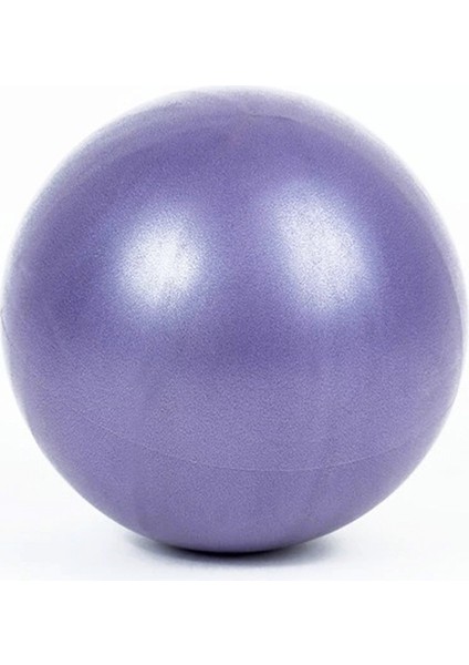 Gri Tarzı Pilates Mini Egzersiz Topu 25CM Anti-Basınç Patlamaya Dayanıklı Yoga Topu Küçük Bender Topu Fitness Salonu Evde Eğitim Denge Topu (Yurt Dışından) indirimleri