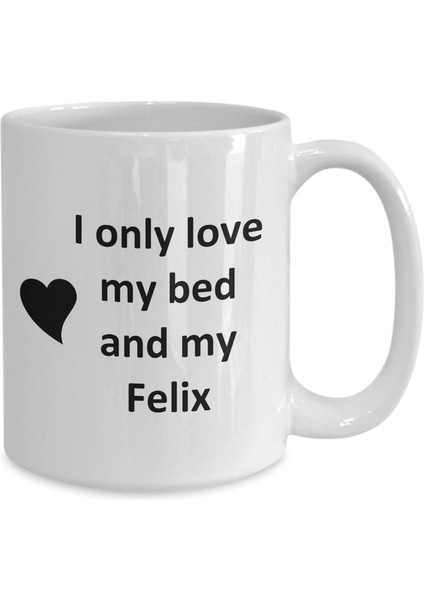 Felix Lover Kupa - Kedi Köpek Kuş Evcil Hayvan Adı - Love My Felixadı - Ingilizce Kupa Bardak