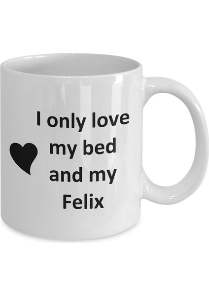 Felix Lover Kupa - Kedi Köpek Kuş Evcil Hayvan Adı - Love My Felixadı - Ingilizce Kupa Bardak