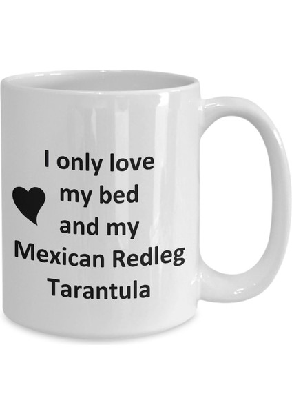 Mexican Redleg Tarantula Lover Kupa - Spider Pet - Love My Mexican Redleg T- Ingilizce Kupa Bardak