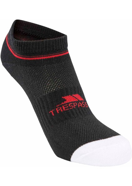 Isolate - 2 Pk Unisex Coolmax Trainer Liner Sock Unisex Çorap fiyatları