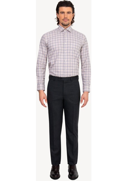 Erkek Füme Regular Fit Çizgili Kumaş Pantolon fiyatları