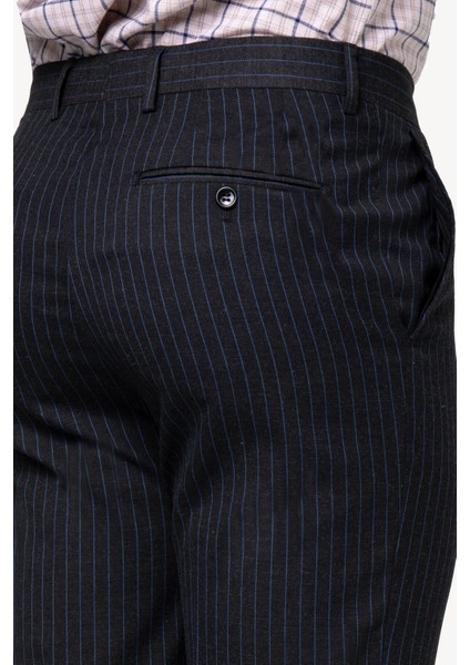 Erkek Füme Regular Fit Çizgili Kumaş Pantolon indirimleri