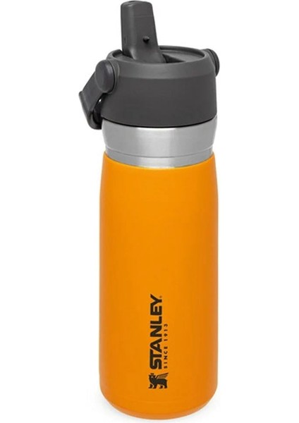 Go Iceflow Pipetli Paslanmaz Çelik Soğuk Su Termosu 0.65 Lt fırsatları