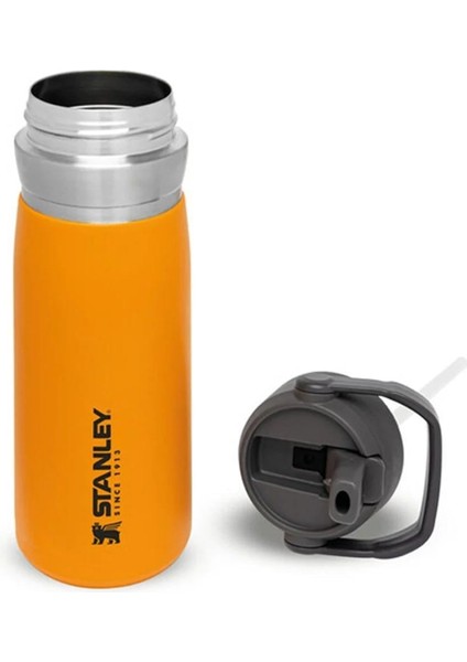 Go Iceflow Pipetli Paslanmaz Çelik Soğuk Su Termosu 0.65 Lt indirimleri