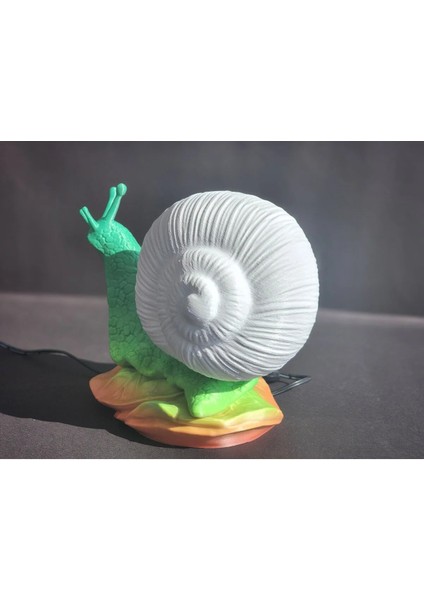 Salyangoz Gece Lambası 3D Model fiyatları