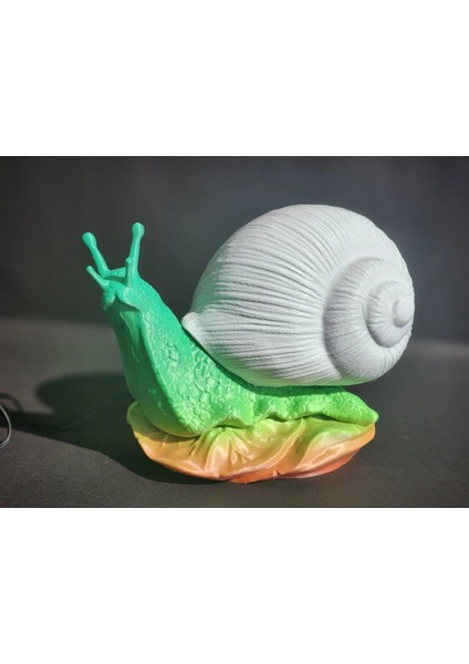 Salyangoz Gece Lambası 3D Model modelleri