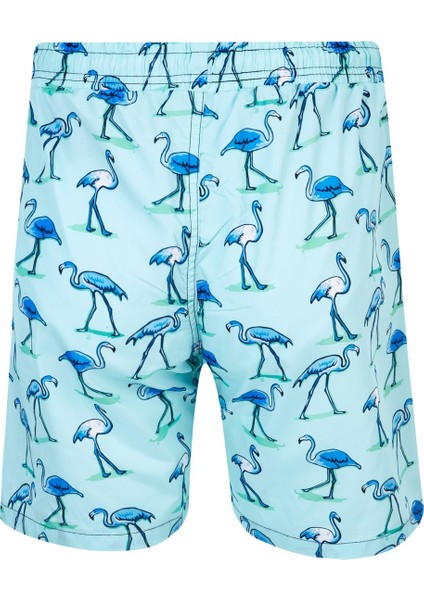 Erkek Deniz Havuz Şortu Desenli Percy S250 Mint fiyatları