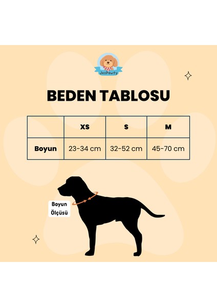 Jespurple Boyun Tasması