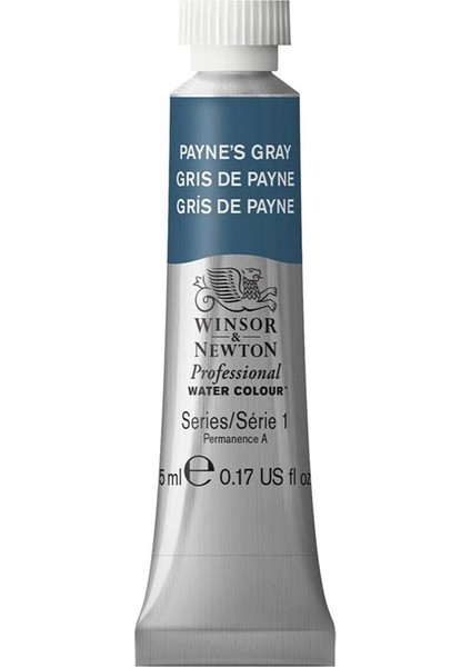 Professional Sulu Boya 5ml Payne’s Gray 465 S.1