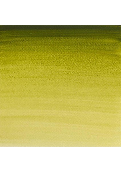 Professional Sulu Boya 5ml Olive Green 447 S.1 fiyatları