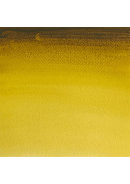 Professional Sulu Boya 5ml Green Gold 294 S.2 fiyatları