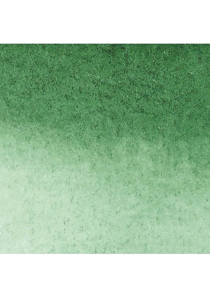 Promarker Watercolour Hooker's Green Dark 312 fiyatları