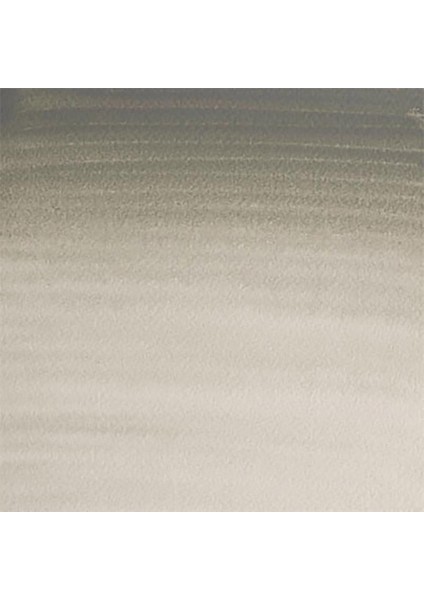 Professional Sulu Boya 5ml Davy’s Gray 217 S.1