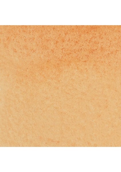 Promarker Watercolour Burnt Sienna 074 fiyatları