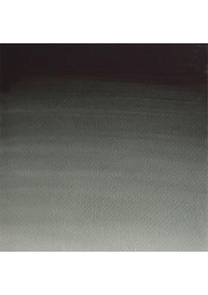 Professional Sulu Boya 5ml Perylene Green 460 S.2 fiyatları