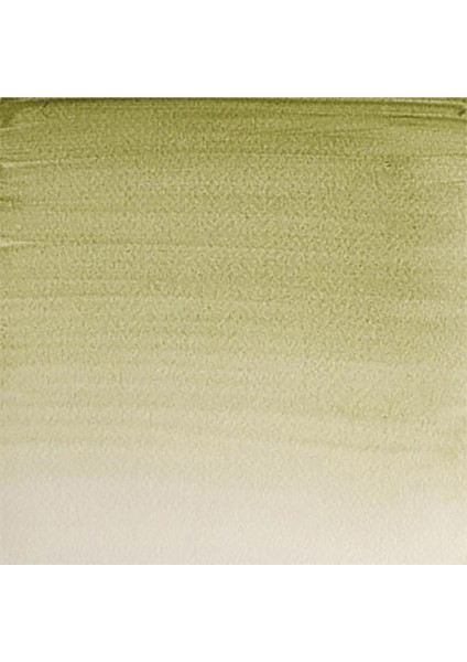 Professional Sulu Boya 5ml Terre Verte (Yellow S) 638 S.1 fiyatları