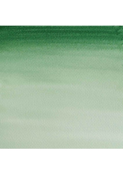 Sulu Boya 8ml Hooker's Green Dark 312 fiyatları