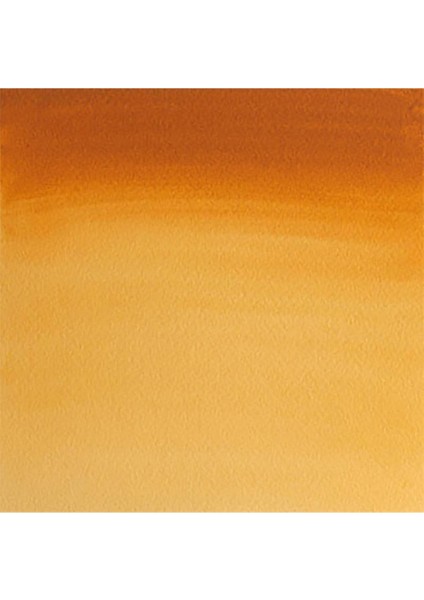 Professional Sulu Boya 5ml Gold Ochre 285 S.2 fiyatları