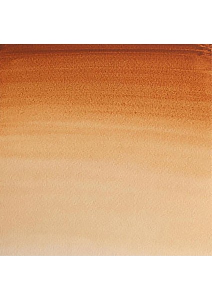 Professional Sulu Boya 5ml Brown Ochre 059 S.1 fiyatları