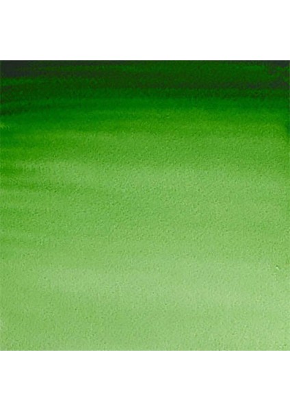 Professional Sulu Boya 5ml Hooker’s Green 311 S.1 fiyatları