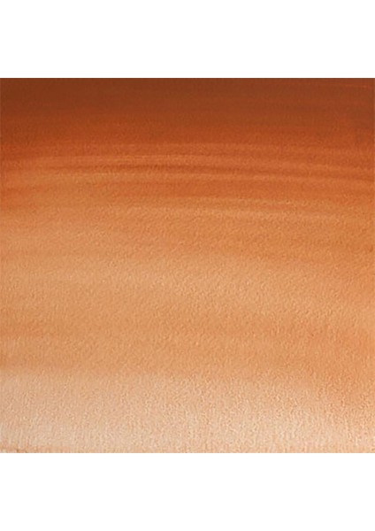 Professional Sulu Boya 5ml Magnesium Brown 381 S.1 fiyatları