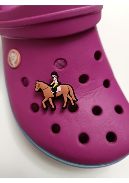 Soli Shop Solishop Crocs Terlik Süsü Jibbitz 345 Yeni Gelenler Animal At