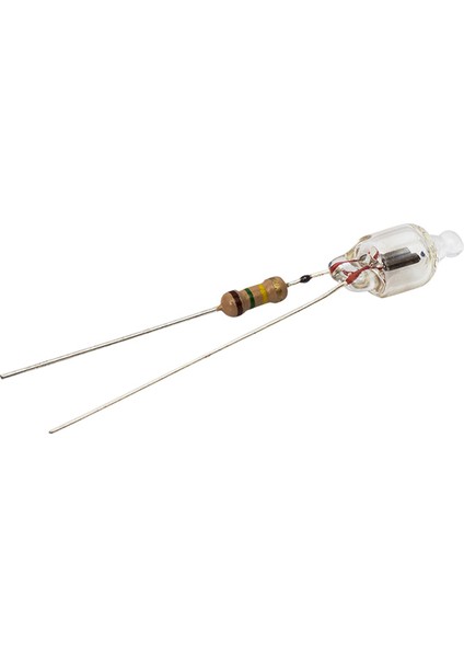220V Neon Ampul