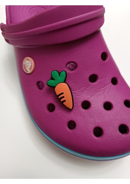 Solishop Crocs Terlik Süsü Jibbitz 80 Yeni Gelenler Havuç