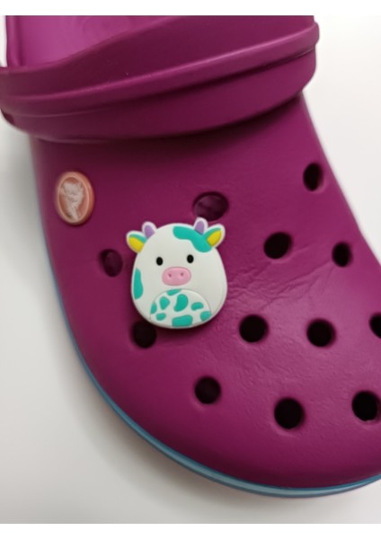 Solishop Terlik Süsü Jibbitz Yeni Gelenler Animal