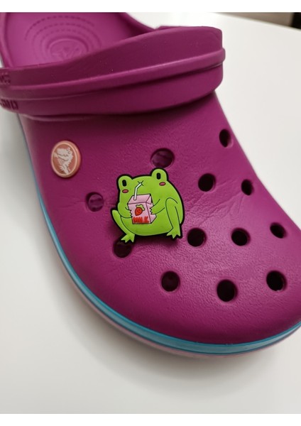 Solishop Terlik Süsü Jibbitz Yeni Gelenler Kurbağa Animal Frog