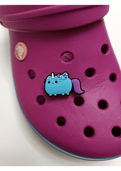 Solishop Terlik Süsü Jibbitz 1137 Yeni Gelenler Animal Kedi