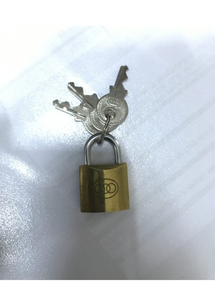 20 mm Sarı Asma Kilit Trı-Cırcle