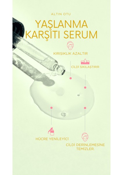 %100 Altın Otu Yaşlanma Karşıtı Serum B3 ve B5 Vitaminli Kırışık Karşıtı Serum 30 ml