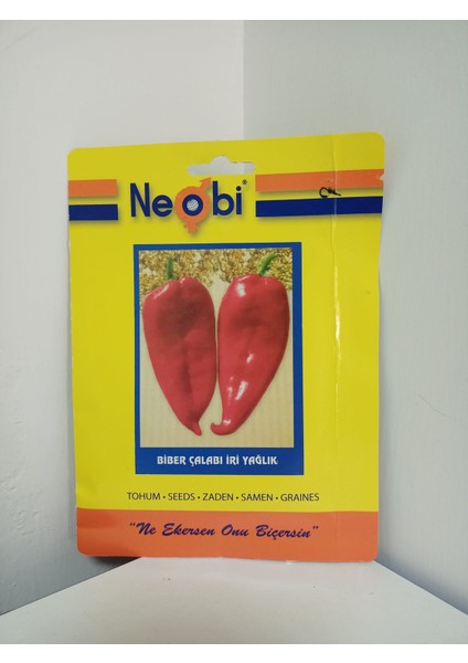 Biber Çalabı Iri Yağlık 10 gr