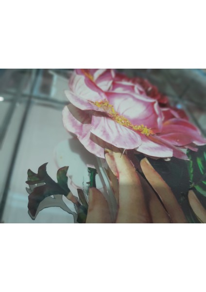 3D Aynalı Nişan Tepsisi fırsatları