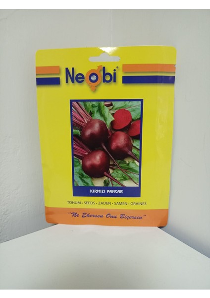 Kırmızı Pancar Tohumu 10 Gr