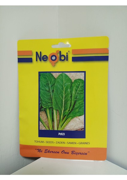 Pazı Tohumu 10 Gr