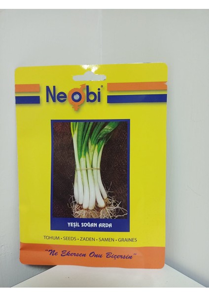 Yeşil Soğan Tohumu 10 Gr