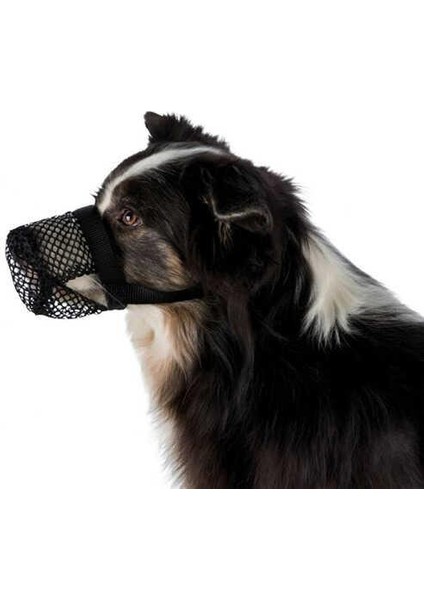 Köpek Ağızlığı, M-L, Siyah