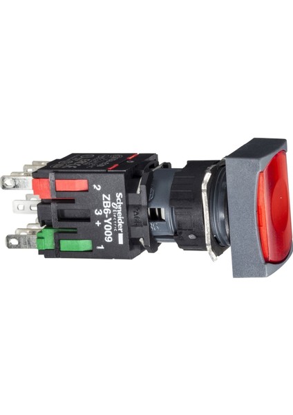 XB6DW4B2B Kırmızı Dikdörtgen Işıklı Buton Ø16 Yaylı Dönüş 1nk 12...24V