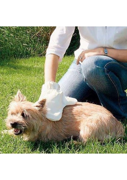 Köpek Tarama Ve Masaj Eldiveni 14X25cm fiyatları