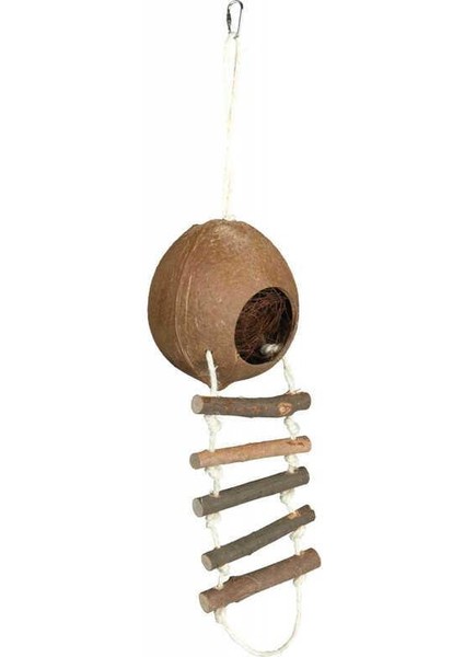 Hamster Hindistancevizi Evi