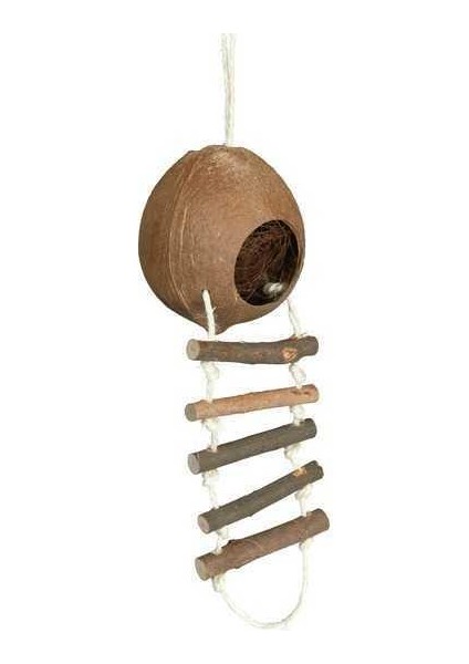 Hamster Hindistancevizi Evi fiyatları