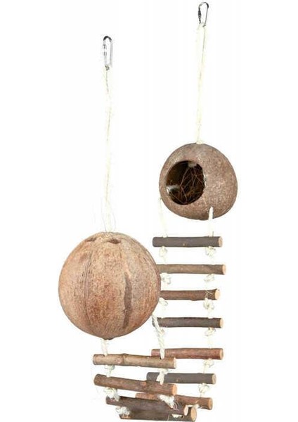 Hamster Hindistancevizi Evi modelleri