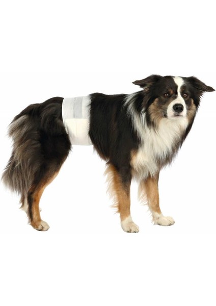 Erkek Köpek Pedi,L-XL 60-80cm 12Adt fiyatları