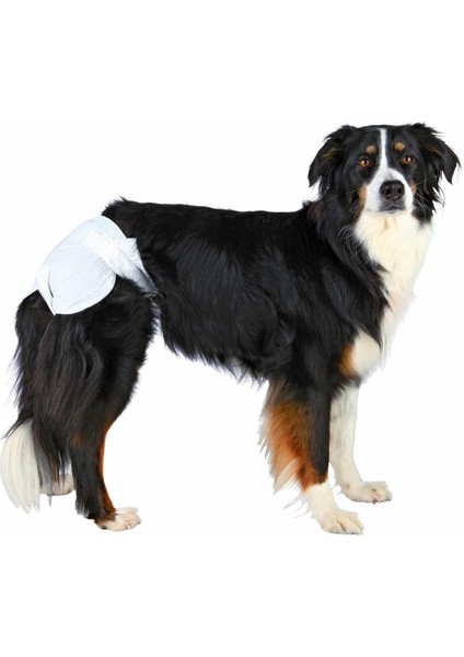 Köpek Pedi , 12 Adet , M-L