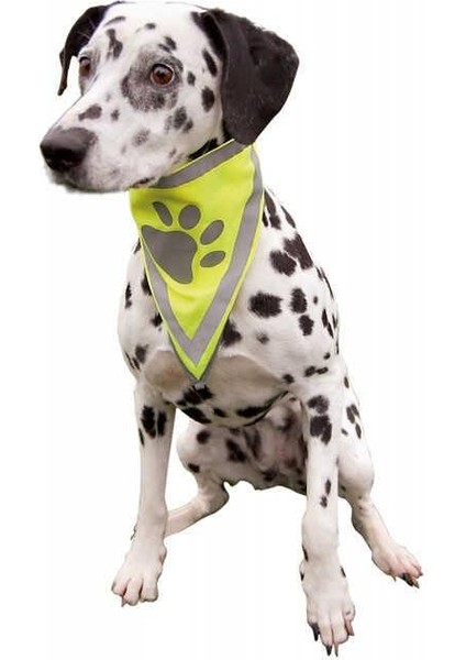Köpek Bandanası S-M 29-42 Cm