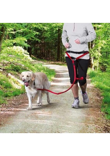 Köpek Yürüme&Koşma Kemeri&Kayışı , Kırmızı